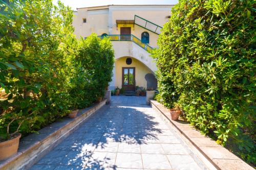 a walkway leading to a house with trees at Alle 6 palme in Ercolano
