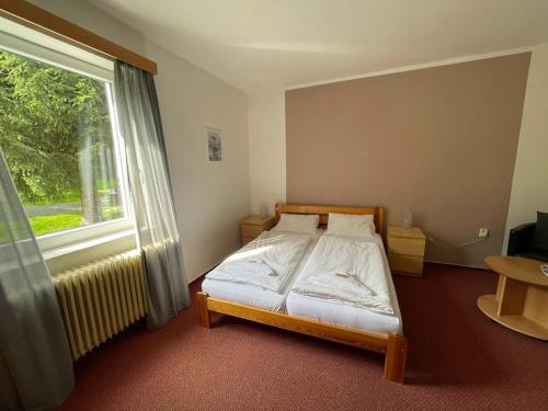 Cama o camas de una habitación en Hotel Rohanov