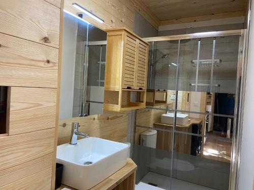 a bathroom with a sink and a glass shower at Charmant T2 en plein centre de Formiguères in Formiguères