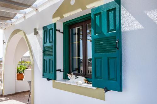 a cat sitting on a window sill in a house at Oceanviewvilla in Karpathos Town