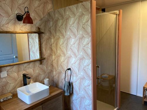 16 Bis-Gîte-Hôtel-Appartement في Marssac-sur-Tarn: حمام مع حوض ودش