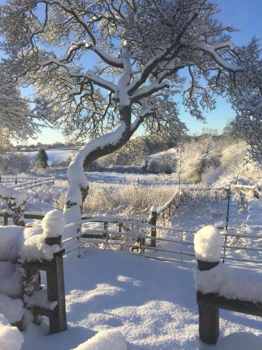 a tree covered in snow next to a fence at The Dragon's Hut with cozy logburner in Wrexham