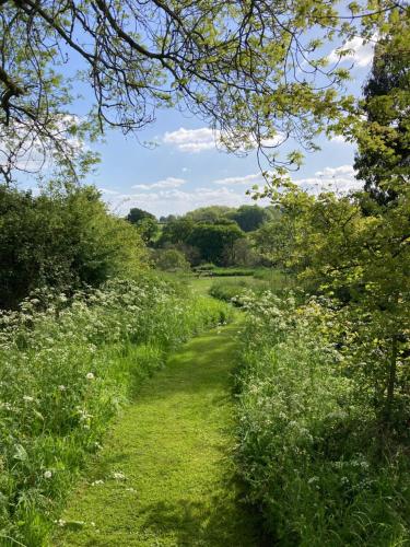 a path through a field with flowers and trees at The Dragon's Hut with cozy logburner in Wrexham