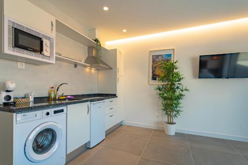 a kitchen with a washing machine and a plant at Edificio Santiago by Plaza Mayor Apartamentos in Valladolid