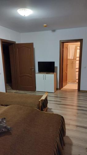 a room with a bed and a television and a door at Pensiunea Romosan in Cucuiş