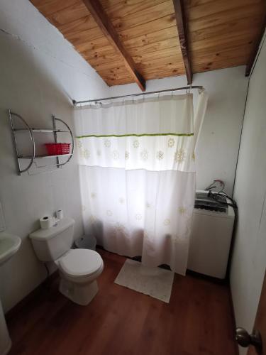 a bathroom with a toilet and a shower curtain at Cabañas Altos de carewe 2, Lican Ray Chile in Licán Ray