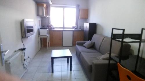 un salon avec un canapé et une table dans l'établissement studios, à Belfort