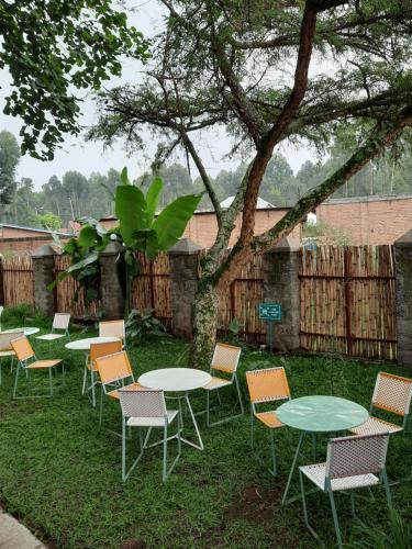 a row of tables and chairs with a tree at Isange Paradise Resort in Ruhengeri