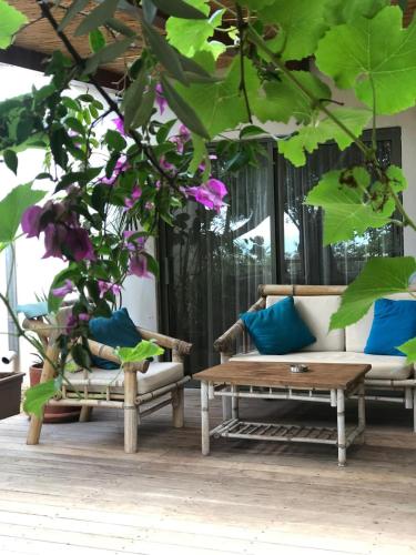 a living room with two couches and a table and a tree at Above the Sea in ‘En Hod