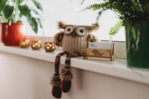 a stuffed owl sitting on a shelf with a box at Academic Hostel in Tallinn