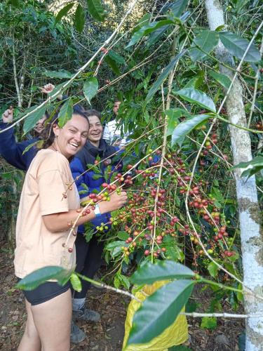 two people standing next to a tree with cherries at Lia B&B Lucmabamba in Sahuayacu