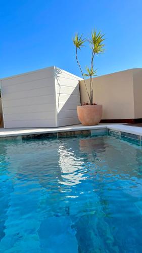 a potted plant sitting next to a swimming pool at Villa Horizon in Saint-Joseph