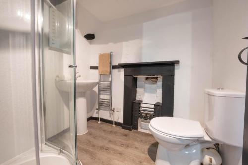 a bathroom with a toilet and a sink and a fireplace at Little Cowarne Court in Little Cowarne