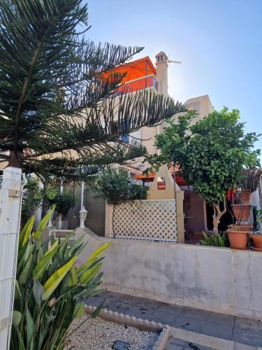 a building with trees and plants in a yard at Magnifico chalet adosado en Torrevieja, Alicante. in Torrevieja