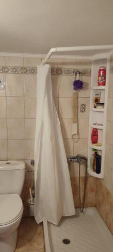 a bathroom with a toilet and a shower curtain at Maria's home in Órmos