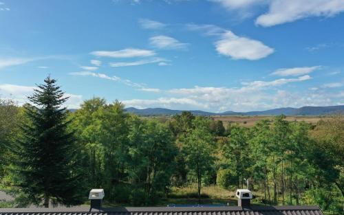 a view from the roof of a house with trees at Villa Diva Grabovčeva in Rakovica