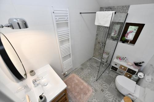 a bathroom with a shower and a toilet and a sink at Villa Diva Grabovčeva in Rakovica