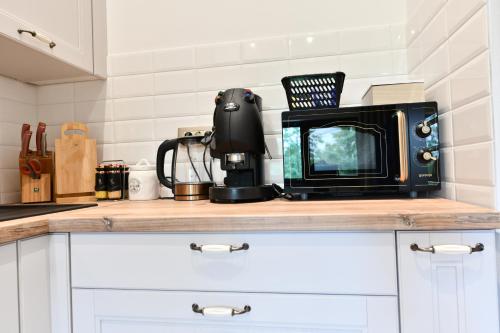 a kitchen counter with a microwave on top of it at Villa Diva Grabovčeva in Rakovica