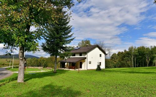 a white house on a green field with a tree at Villa Diva Grabovčeva in Rakovica