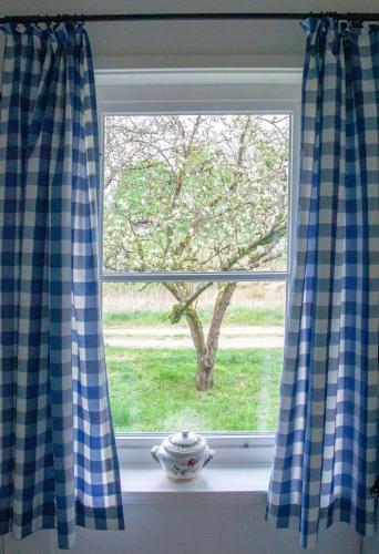 a window with a blue and white checkered curtains at Onkel-Blau-Ferien-in-Troja in Lärz