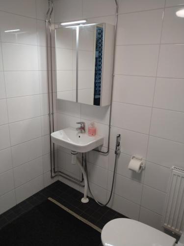 een badkamer met een wastafel, een toilet en een spiegel bij Apartment Satama in Kuopio
