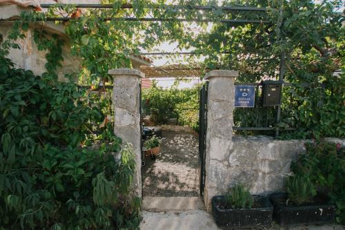 Country House Rusula – Photos 2