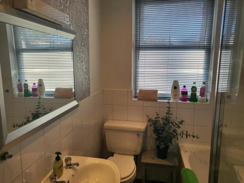 a bathroom with a toilet and a sink and a mirror at & Cosy Apartment in the heart of Stokes Croft in Bristol