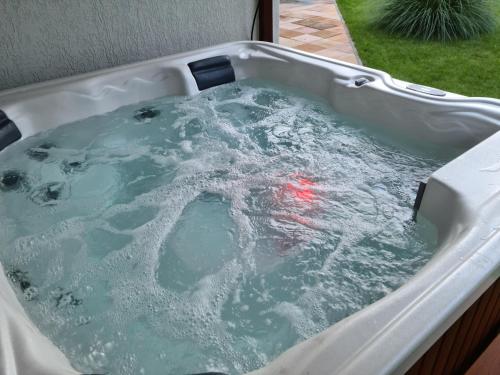 a bath tub filled with water with a red object in it at Lilien Deluxe in Gyula