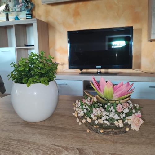 two flower pots sitting on top of a table at Casa Zanier Aviano in San Martino