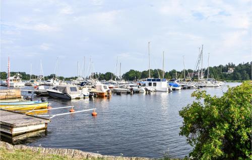 a bunch of boats are docked in a harbor at 3 Bedroom Lovely Home In Ronneby in Ronneby