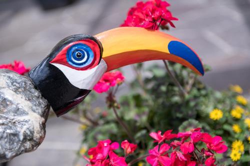 a colorful bird head on a rock next to flowers at Die WUNDER s Ferienpension in Pörtschach am Wörthersee