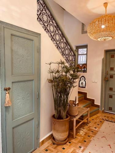 a room with a door with a potted plant in it at Riad Gasämbre Touareg in Marrakech