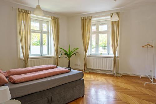 Vienna Living Apartments - Schönbrunn في فيينا: غرفة نوم بسرير ونوافذ