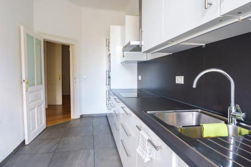 a kitchen with a sink and a counter top at Vienna Living Apartments - Schönbrunn in Vienna