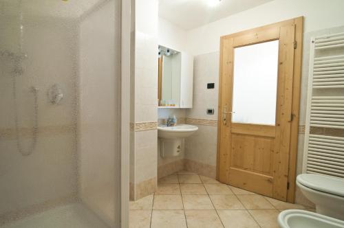 La salle de bains est pourvue d'une douche, de toilettes et d'un lavabo. dans l'établissement Agritur Agribaldo Lavanda, à Brentonico