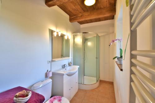 y baño con ducha, aseo y lavamanos. en Gites Mont Saint Michel "AUCOEURDELABAIE", en Sains