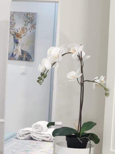a vase with a white flower on a table at Apartamento Paula in Valladolid