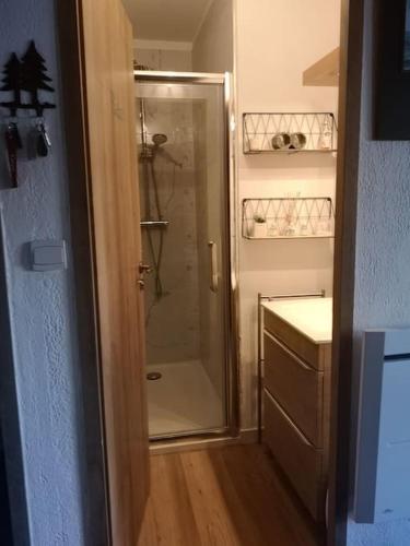 une douche avec une porte vitrée dans une salle de bain dans l'établissement Auron, 2 pièces meublé, coin montagne,6 couchages, à Saint-Étienne-de-Tinée