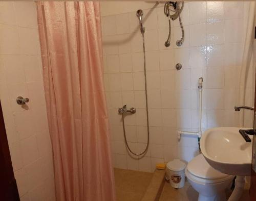 uma casa de banho com um chuveiro, um WC e um lavatório. em Apartman Marija em Tivat