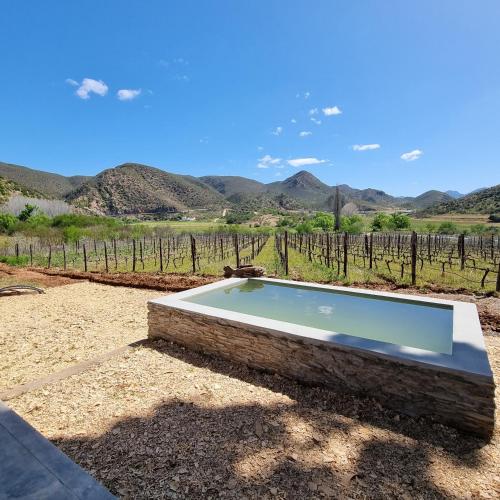 a swimming pool in front of a vineyard at De Kombuys in Oudtshoorn
