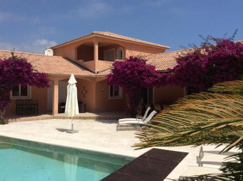 a villa with a swimming pool and a house at Residence de tourisme Le clos des Vendanges in Moriani Plage