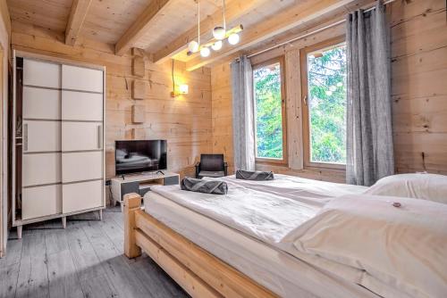 a bedroom with a large bed and a television at VILLA MAZURIS in Pierkunowo
