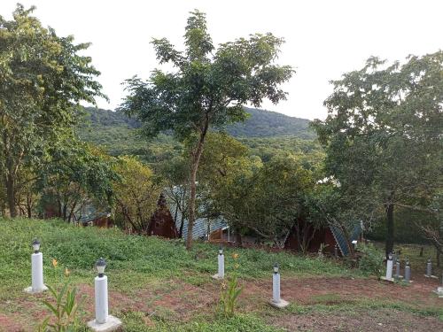 a cemetery with trees and a mountain in the background at Porsu in Canacona