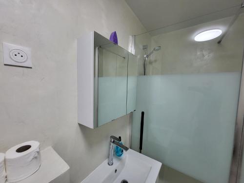 a white bathroom with a sink and a mirror at Pratique Porte de la villette Beau Studio Spacieux in Aubervilliers