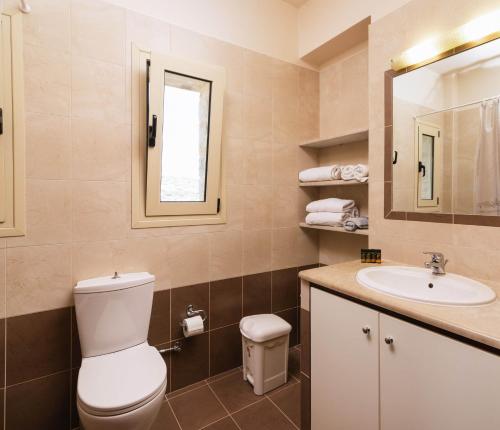 a bathroom with a toilet and a sink at Villa Eleni in Pitsidia