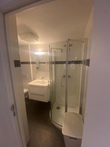 een badkamer met een douche, een toilet en een wastafel bij TRIPLEX NEUVICE in Luik