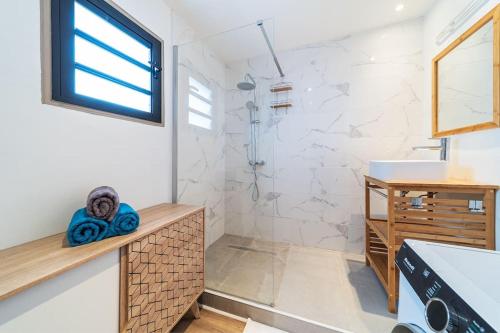 La salle de bains est pourvue d'une douche et d'un lavabo. dans l'établissement Studio Les Aigrettes, à Saint-Gilles les Bains