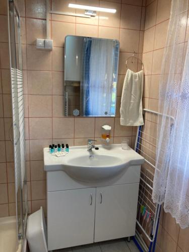 ベレクフェルドにあるVacsacsi vendégházのバスルーム(シンク、鏡、シャワー付)
