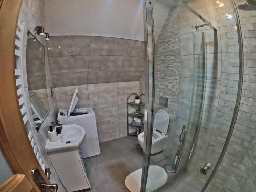La salle de bains est pourvue de 2 toilettes et d'une douche en verre. dans l'établissement Domki z widokiem na Tatry, à Bańska