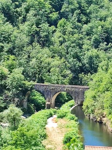 a stone bridge over a river in a forest at Votre gite dans l'ancienne Huilerie de Tourtel in Vernosc-lès-Annonay